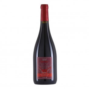 Champ Divin Pinot Noir 2025